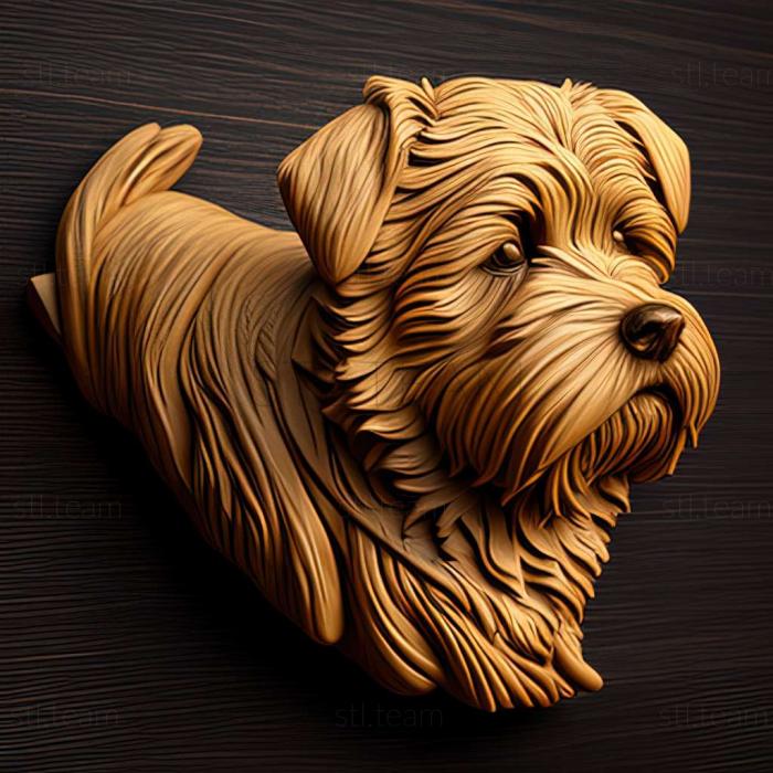 3D model Norfolk Terrier dog (STL)